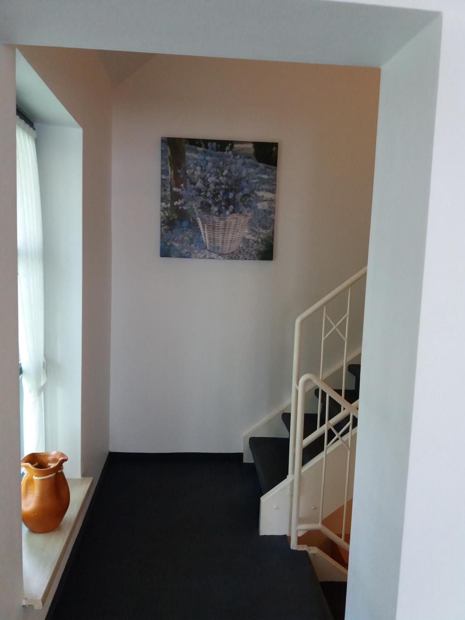 Haus Elsholz Willingen Apartment Exterior photo